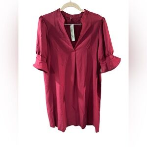 Elegant Women's Maroon Dress